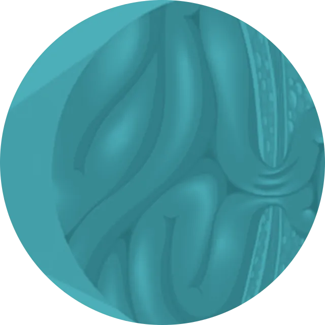 Ilustração — Cirurgia de Hérnia Epigástrica